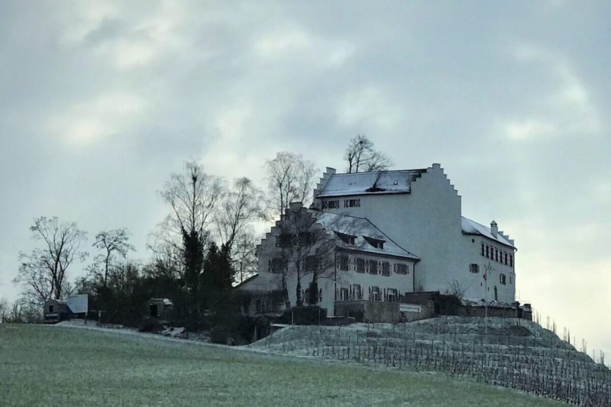 Fassadensanierung Schloss Schwandegg Bild 3